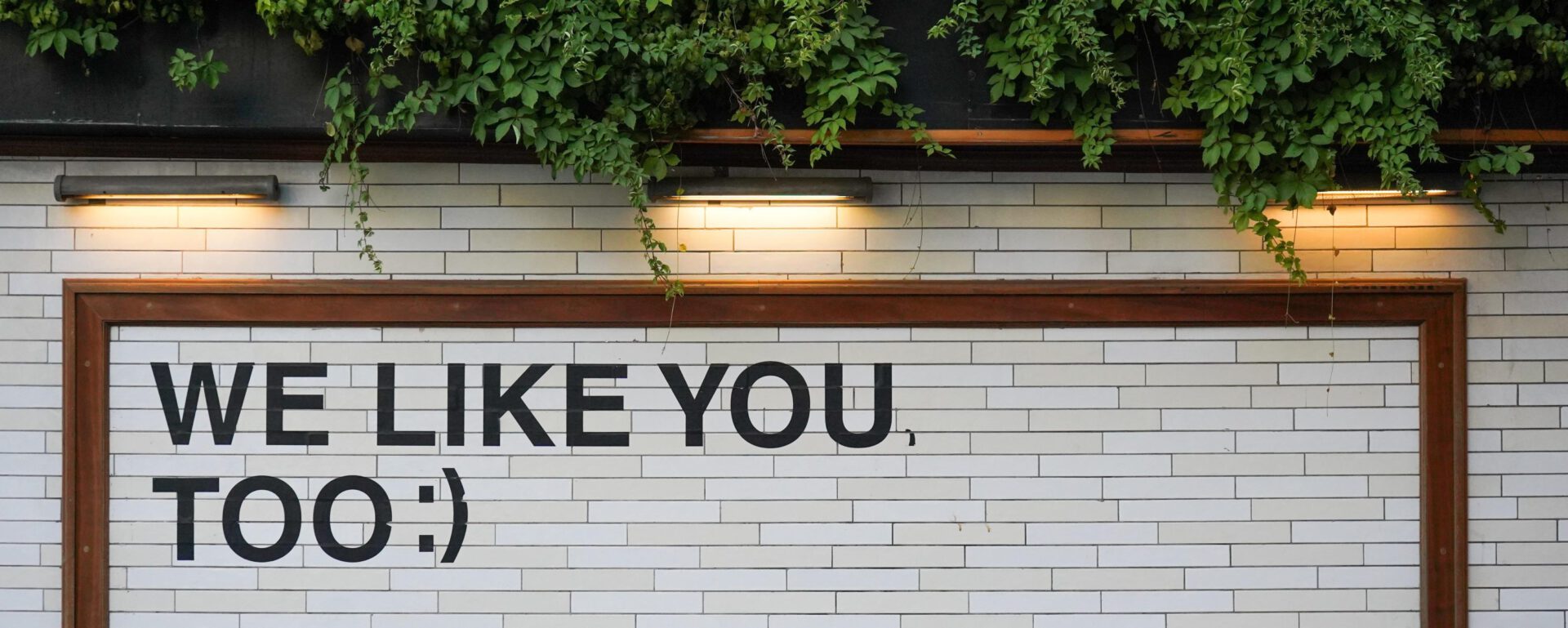 We Like You Too (Bild: yoav hornung on Unsplash)