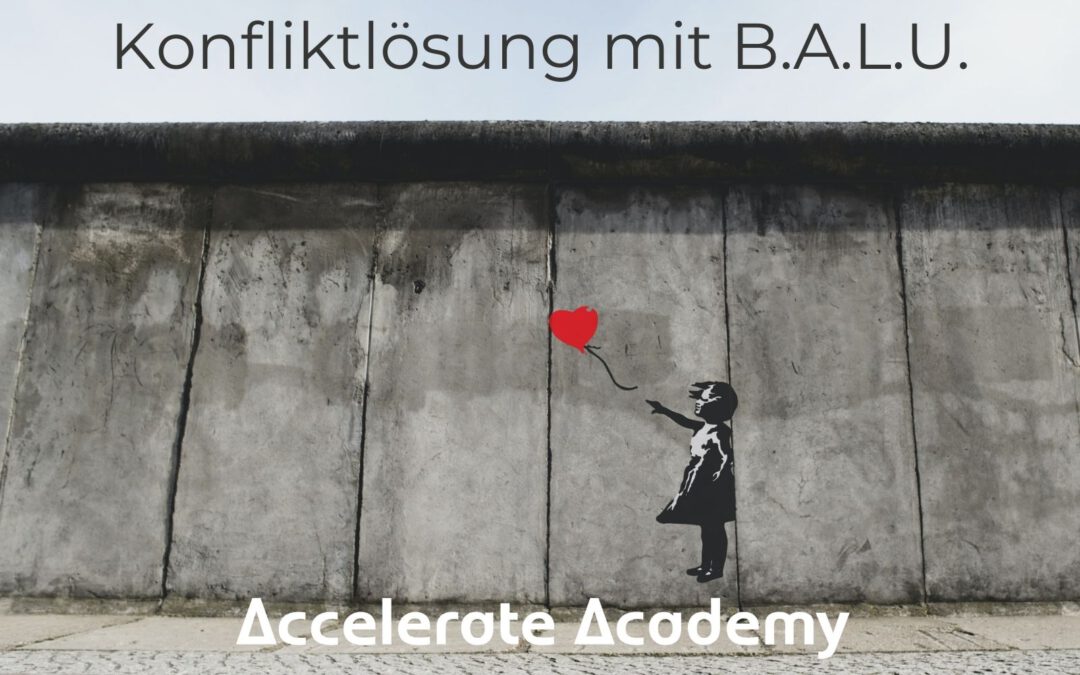 Konfliktlösung mit B.A.L.U. | Tool